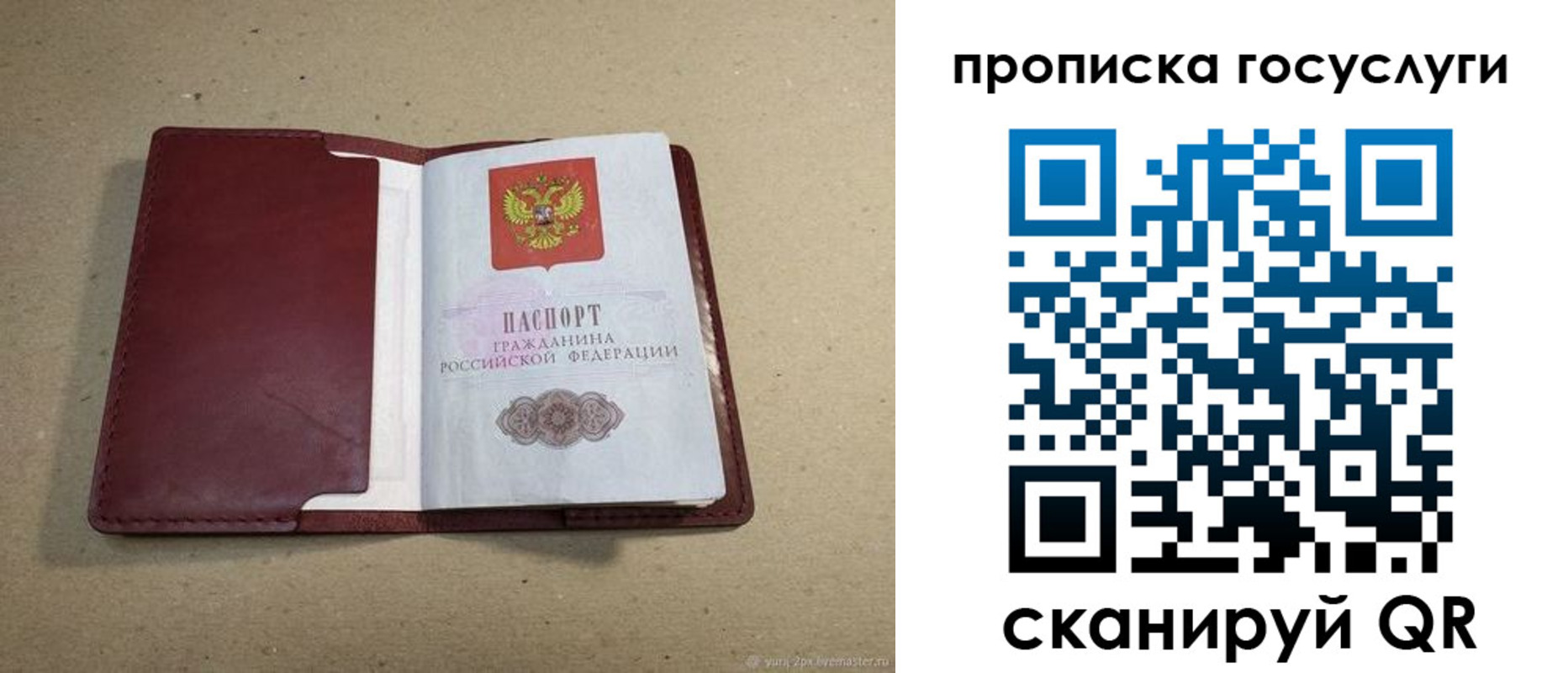 прописка поиск в Оренбургской области